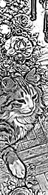 Free colorable bookmarks of a cat lying down